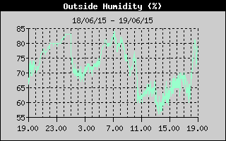 Grafico del'Umidit nelle ultime 24 ore